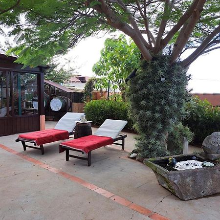 Finca Cebollino La Orotava Ngoại thất bức ảnh